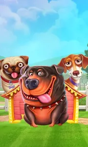 The Dog House